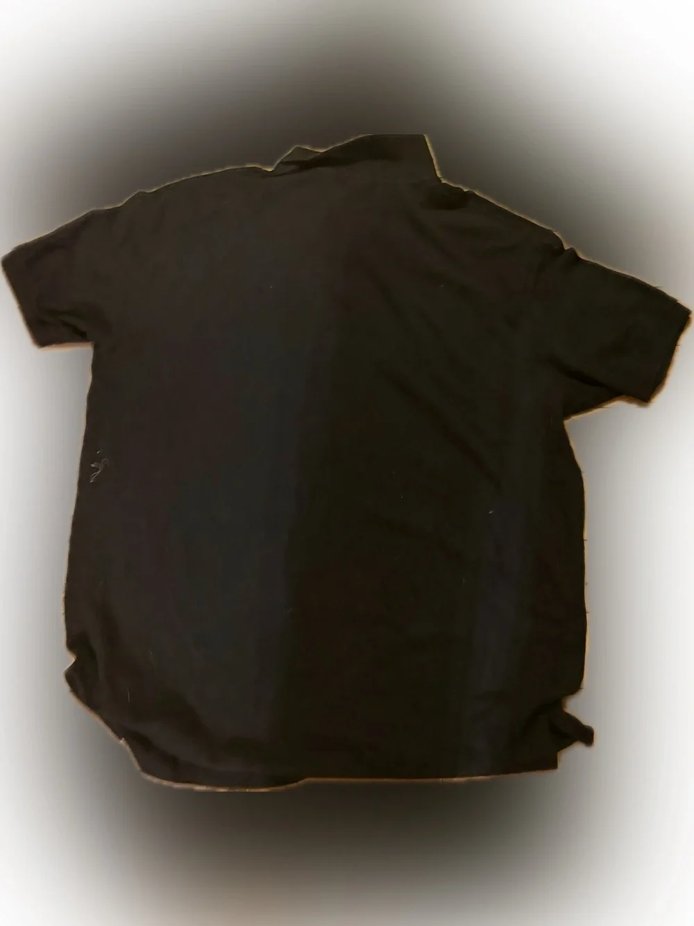 Ralph Lauren Black Polo with Red Pony Embroidery
